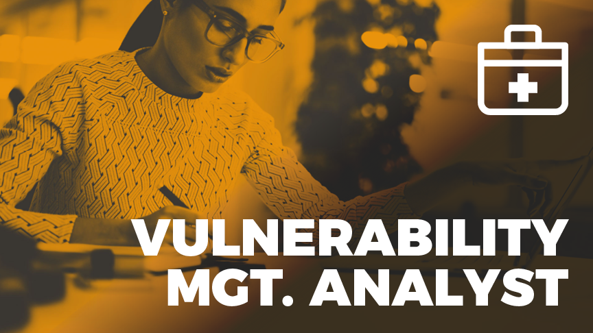 Vulnerability Mgt Analyst