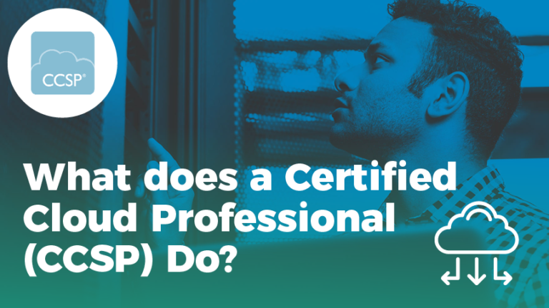 What does a CCSP do?